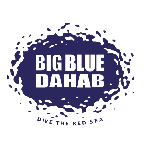 Untitled design (28)